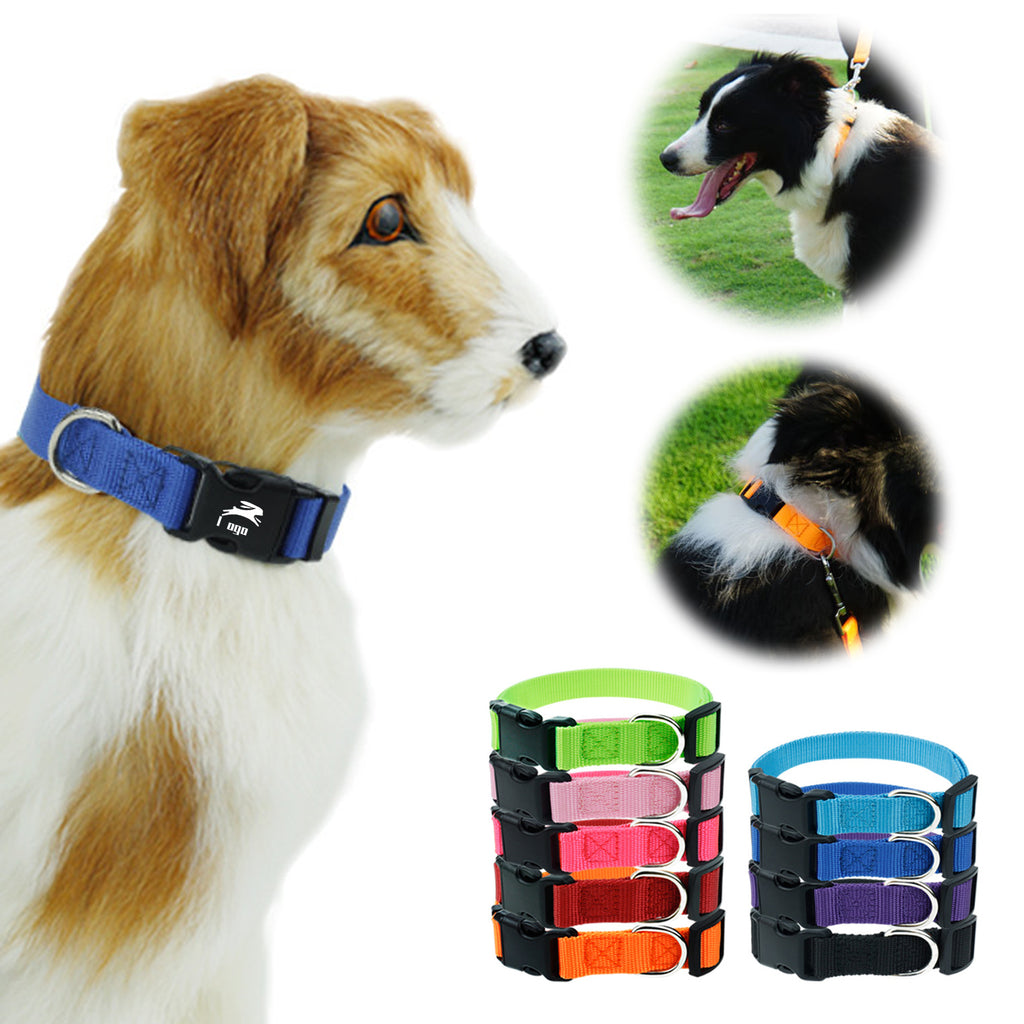 Adjustable Soft Pet Collar W/ Buckle