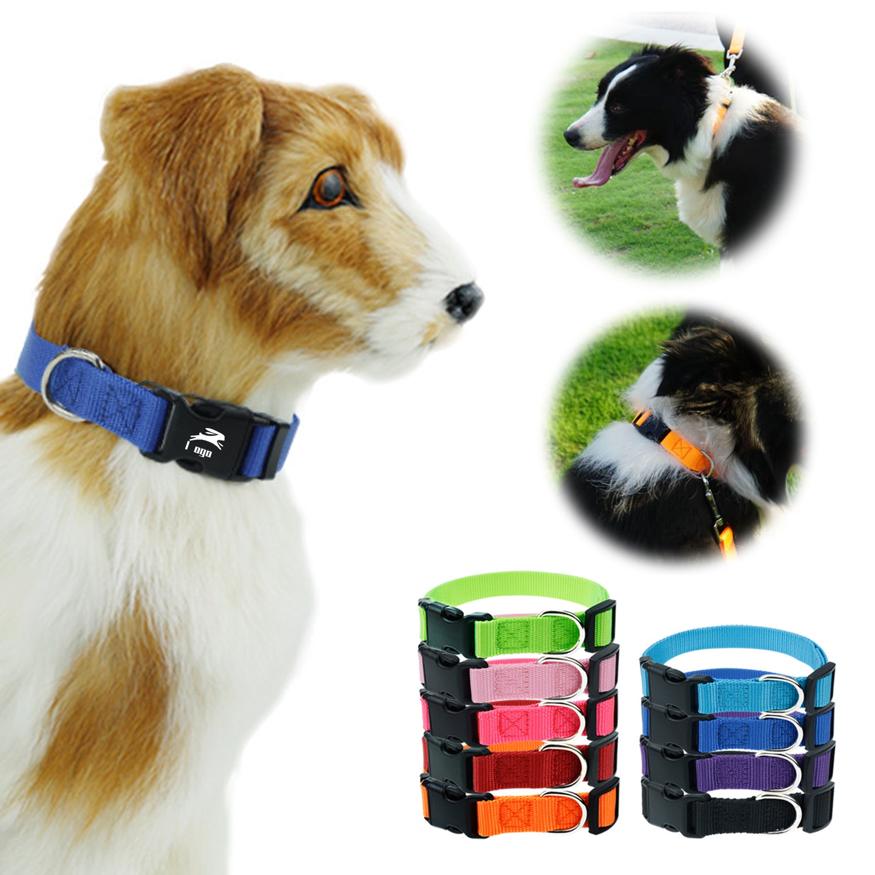 Adjustable Soft Pet Collar W/ Buckle