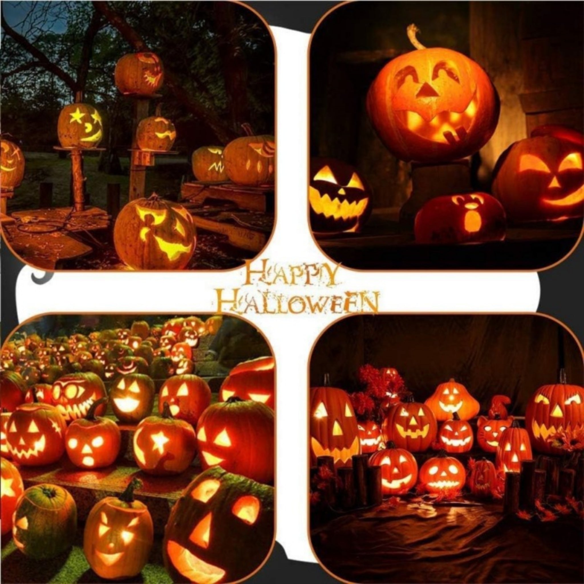 Halloween Pumpkin - Carving Tool Set