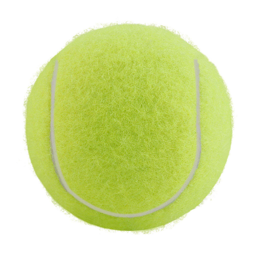 Pet Bouncy Ball Toy