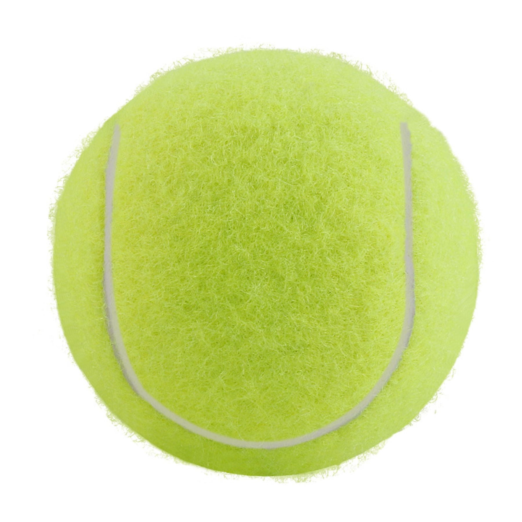 Pet Bouncy Ball Toy