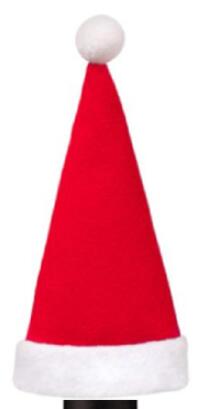 Christmas Bottle Hat