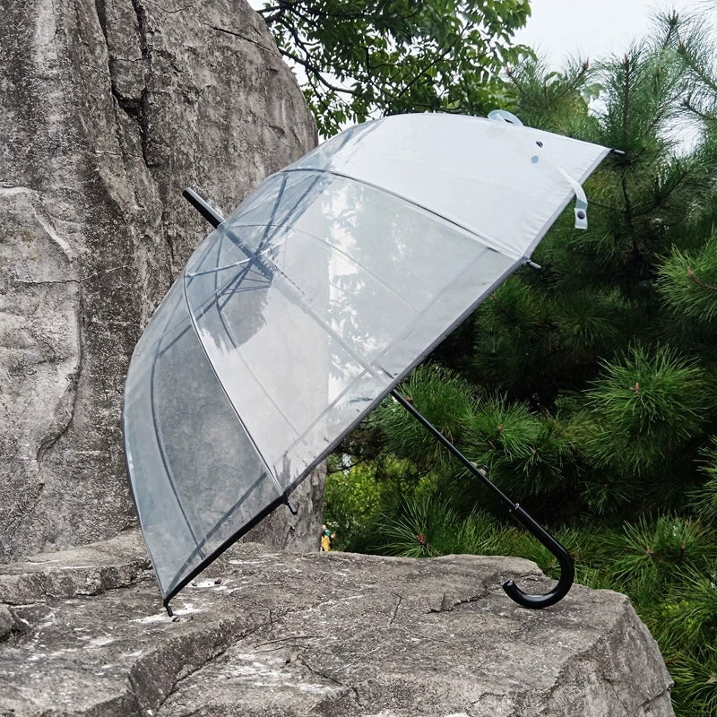 Adult Clear Bubble Umbrella