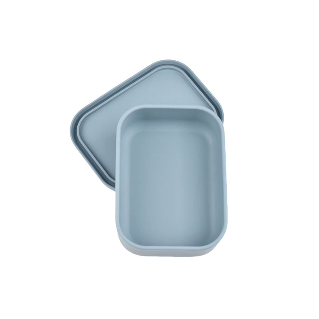 Silicone Sealed Food Storage Container