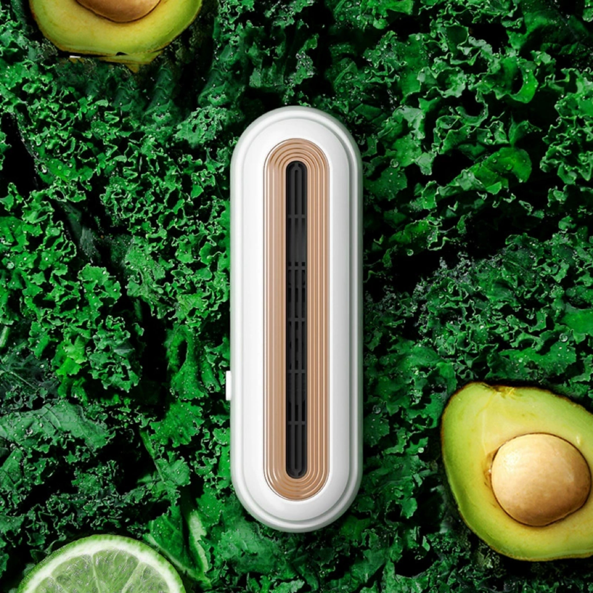 Rechargeable Refrigerator Deodorizer