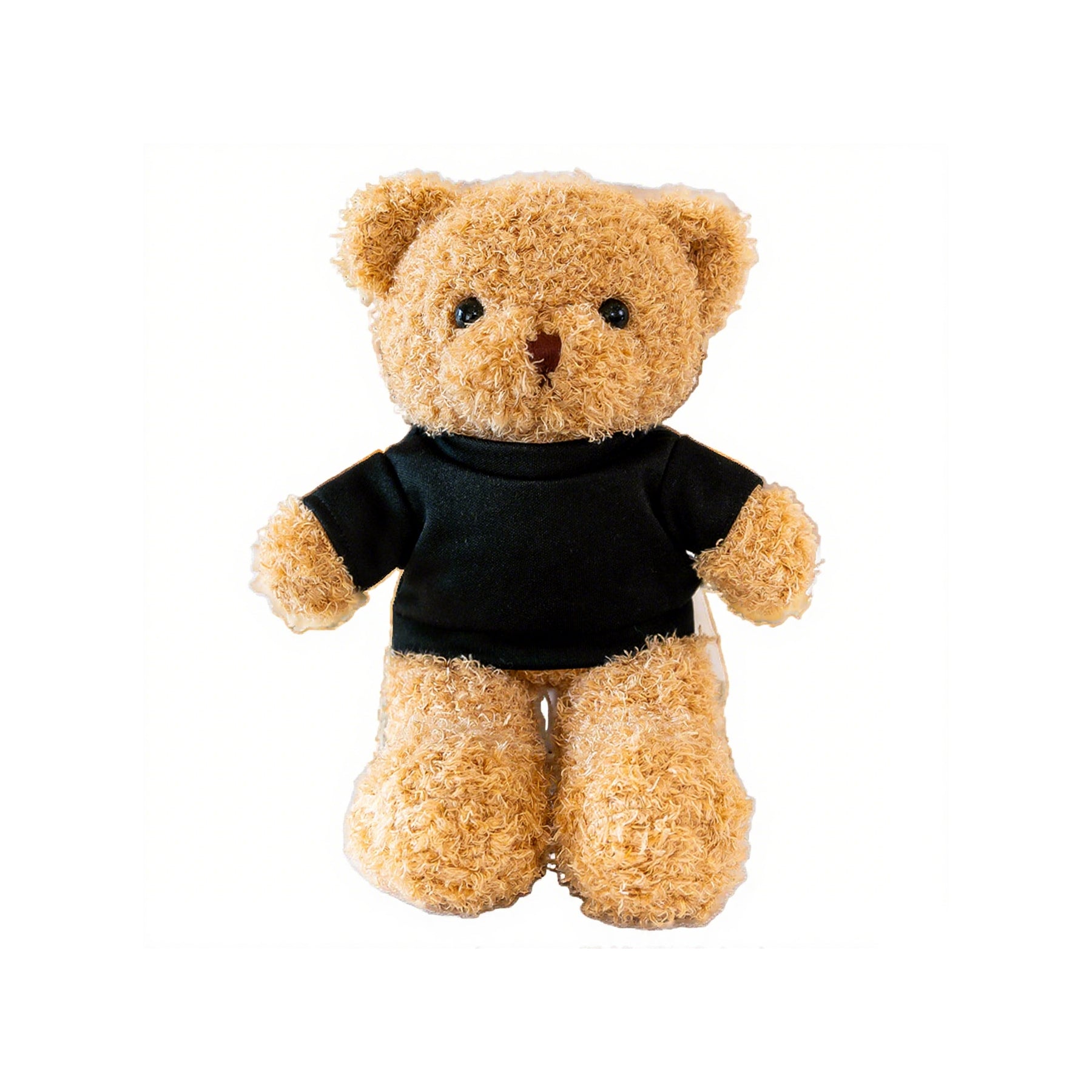 Plush Teddy Bear