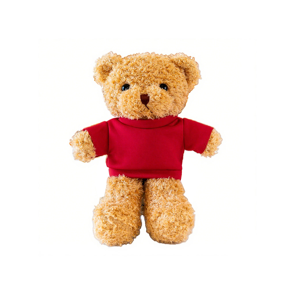 Plush Teddy Bear