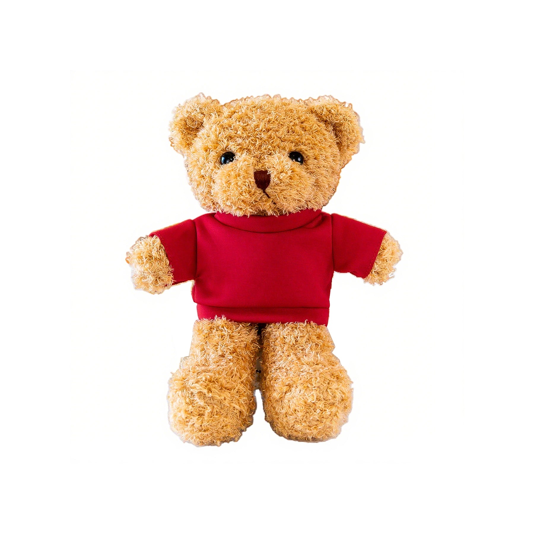 Plush Teddy Bear