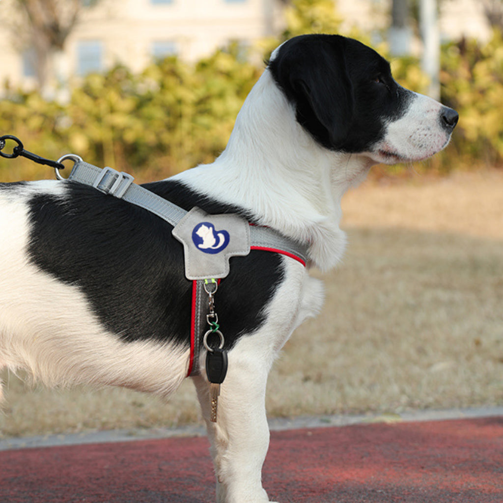 Dog Y Chest Strap Breathable Comfortable Thick Style