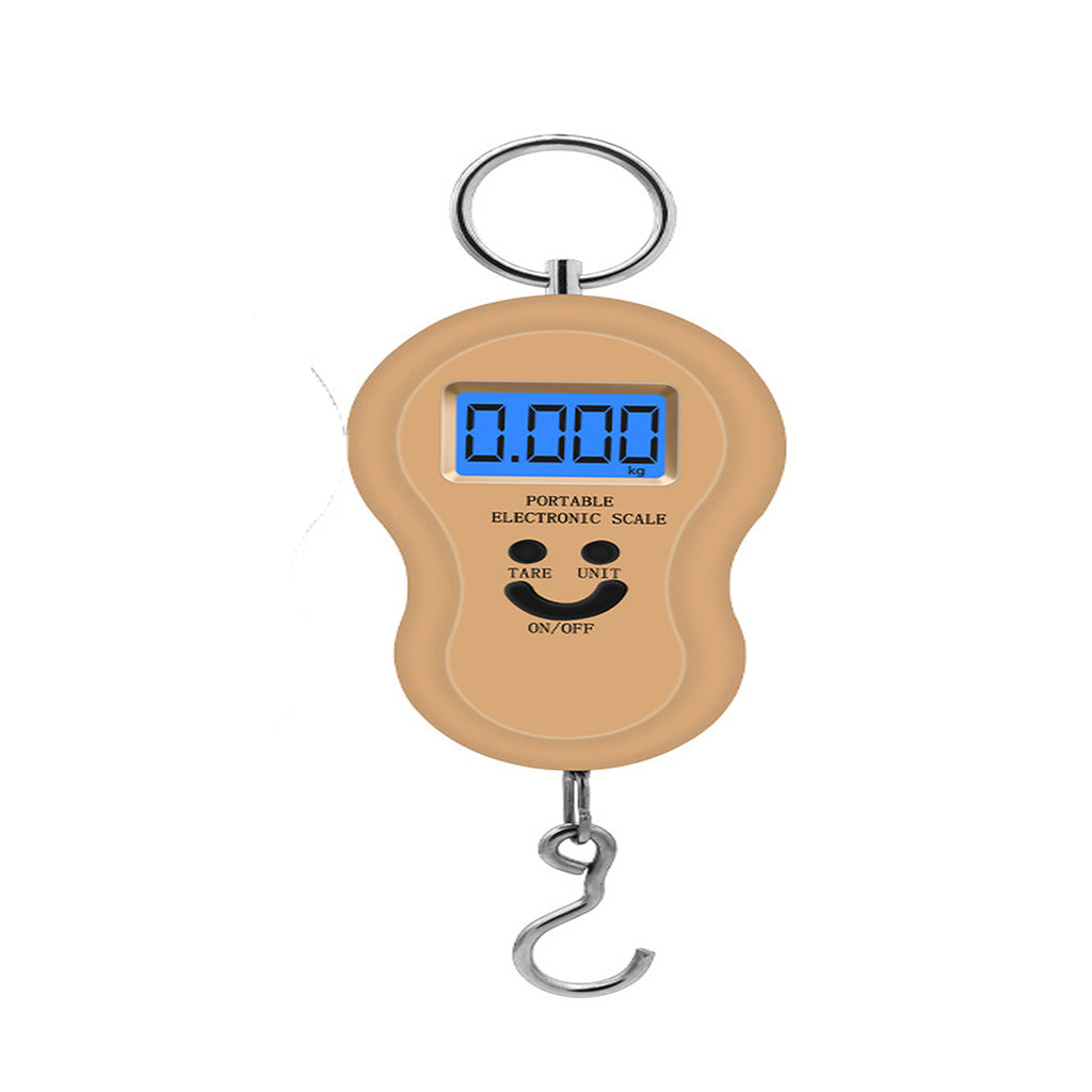 Portable Handheld Spring Weighing Scale