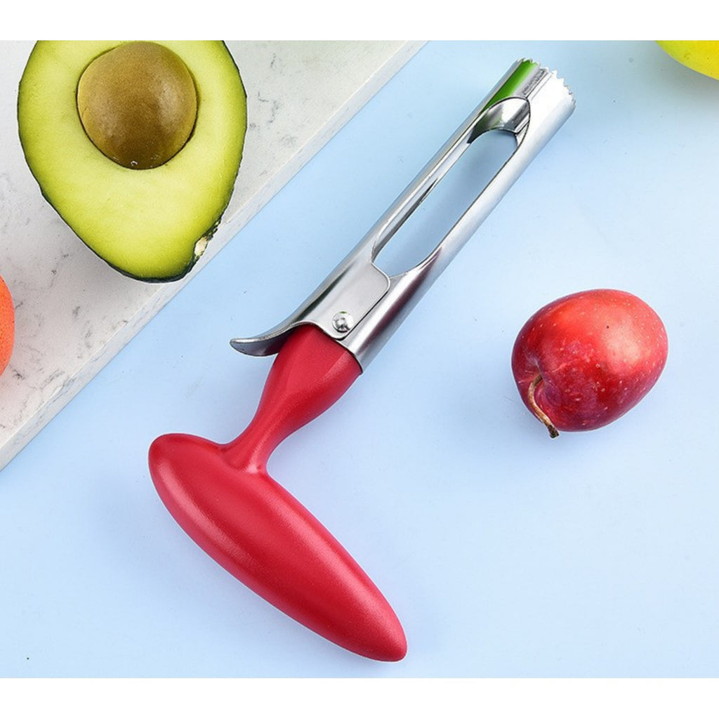 Stainless Steel Fruit Pitter