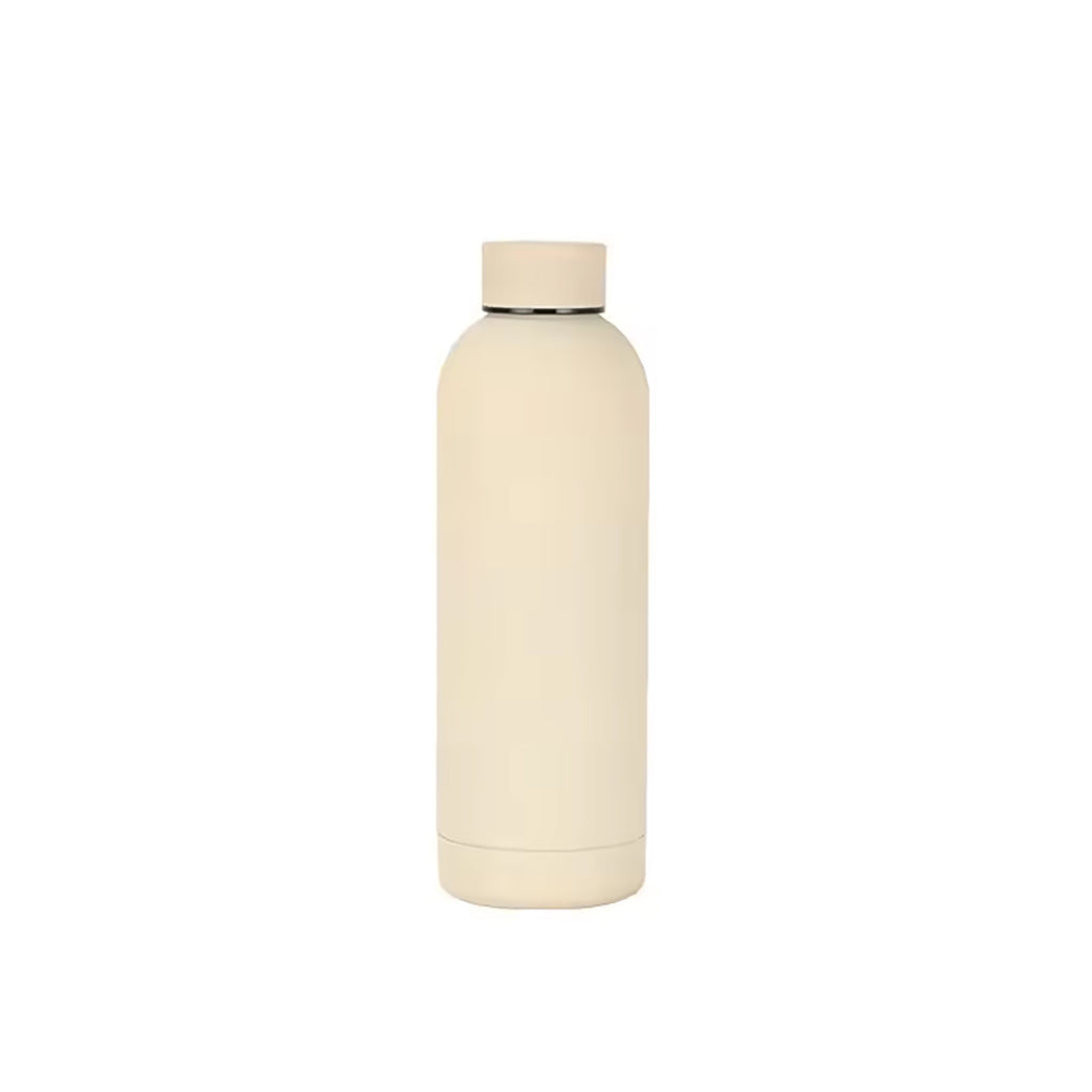 17Oz Frosted Insulated Stainless Steel Water Bottle
