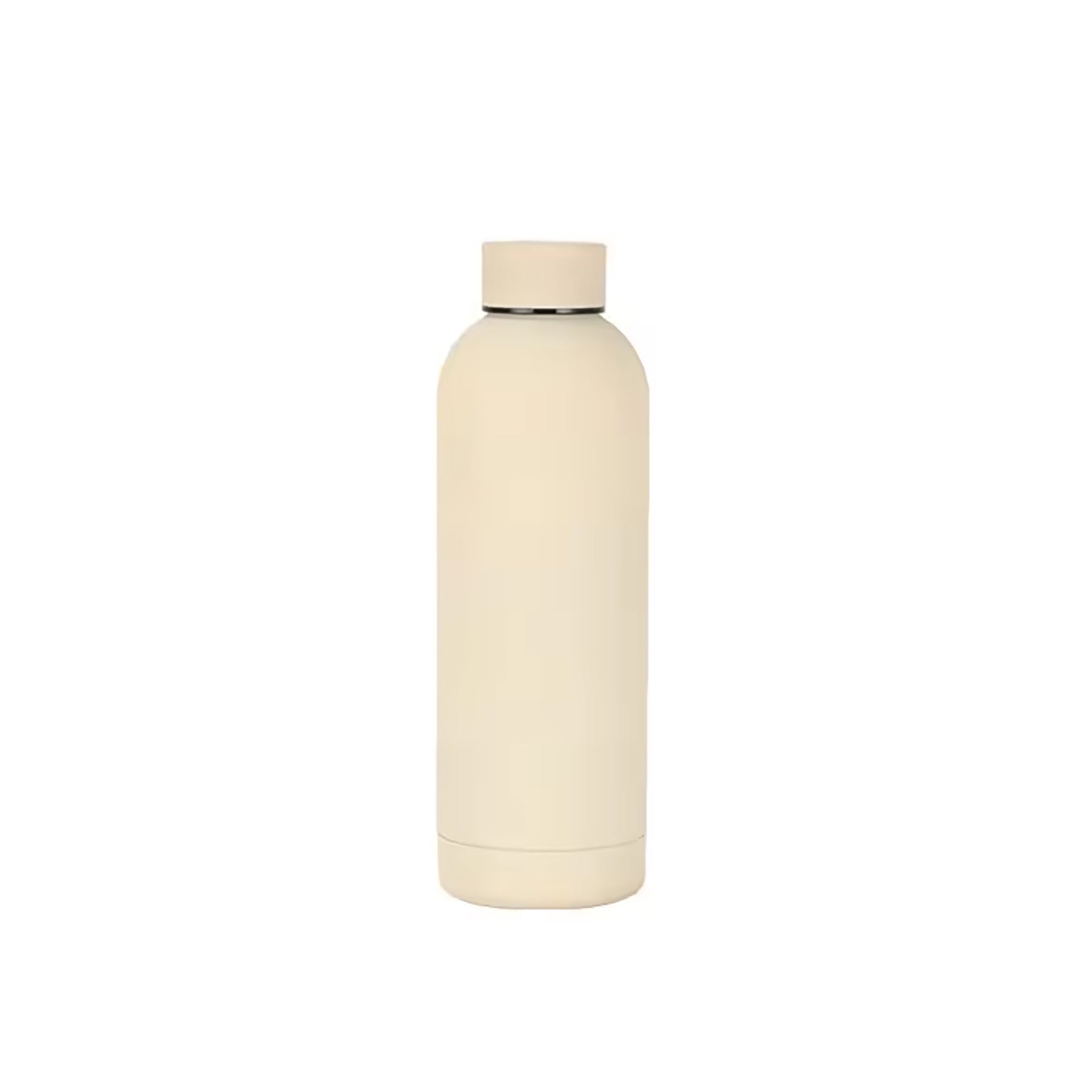 17Oz Frosted Insulated Stainless Steel Water Bottle