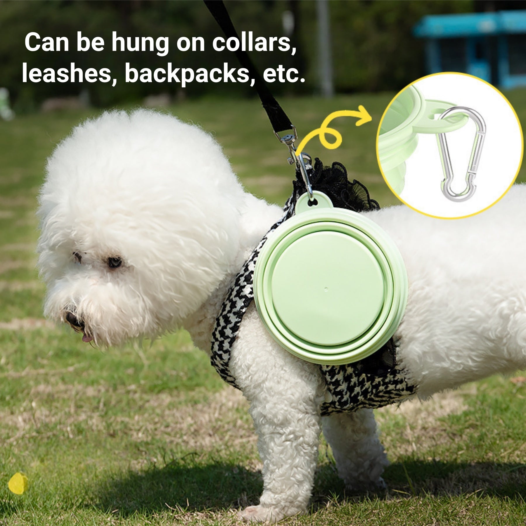 Macaron-colored Collapsible Pet Bowl