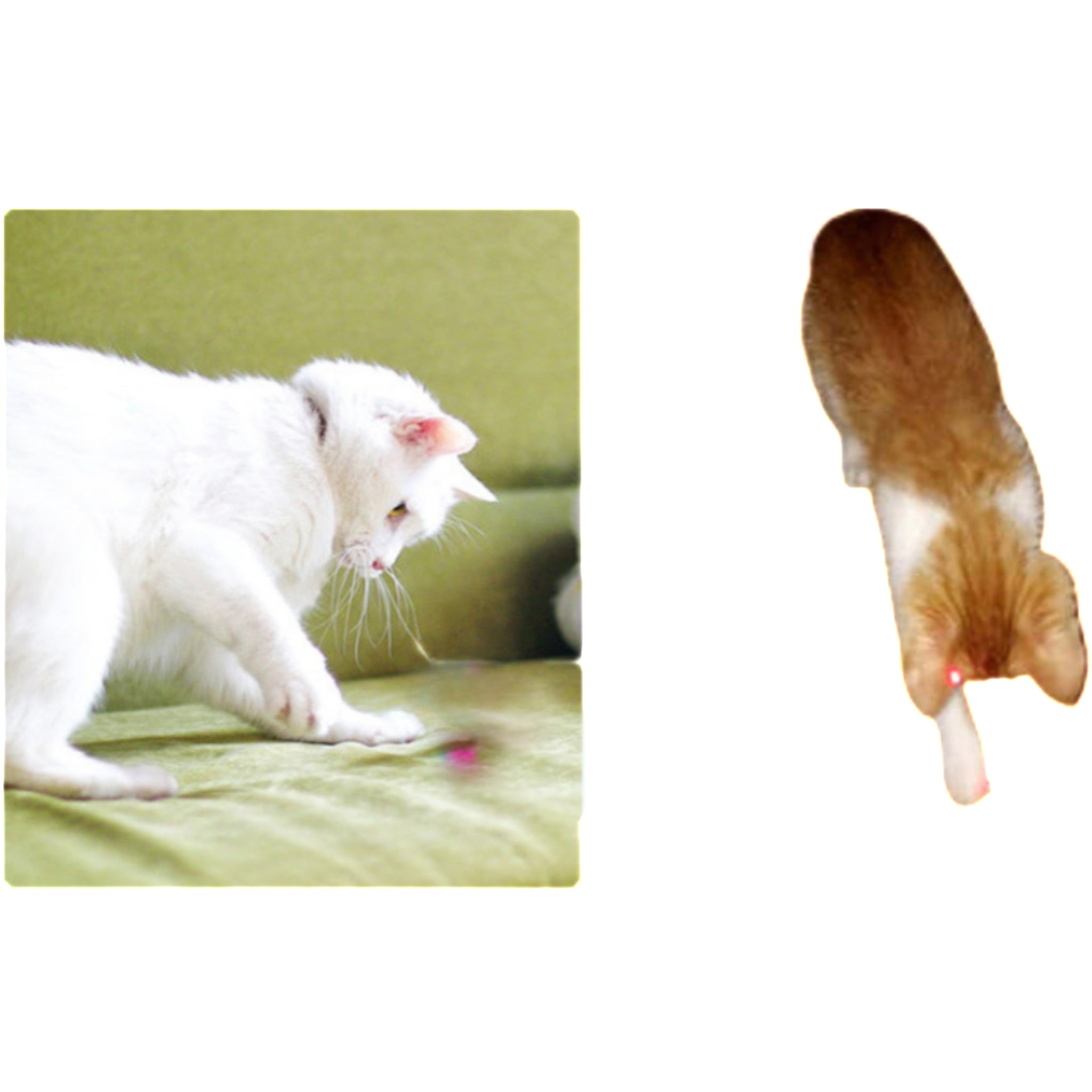 Laser Infrared Cat Teaser Laser Pointer