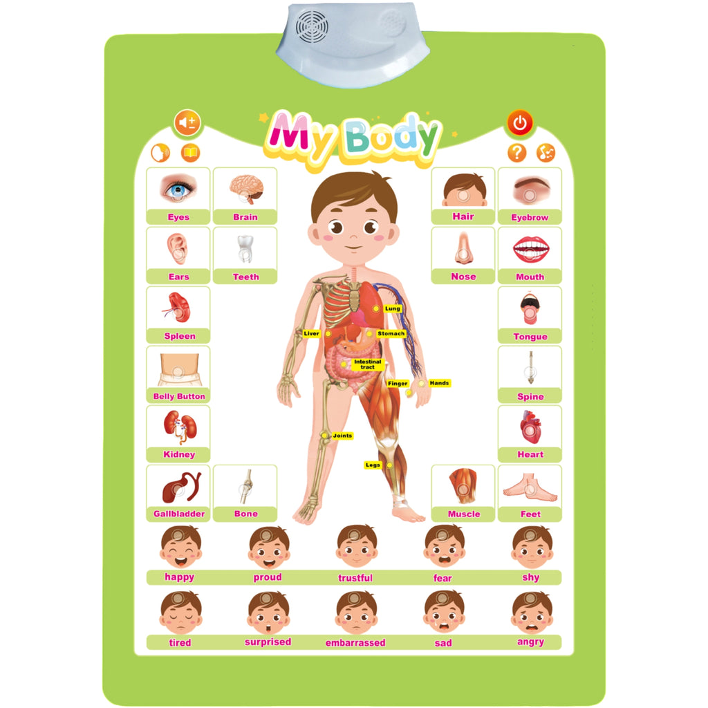All English Sound Enabled Wall Chart