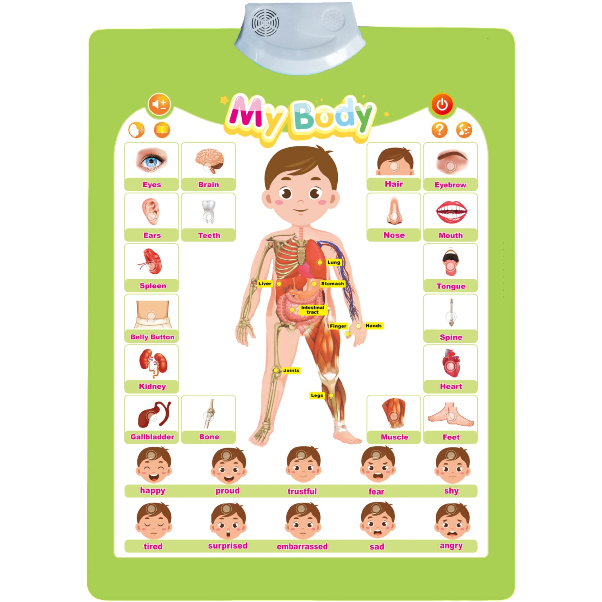 All English Sound Enabled Wall Chart