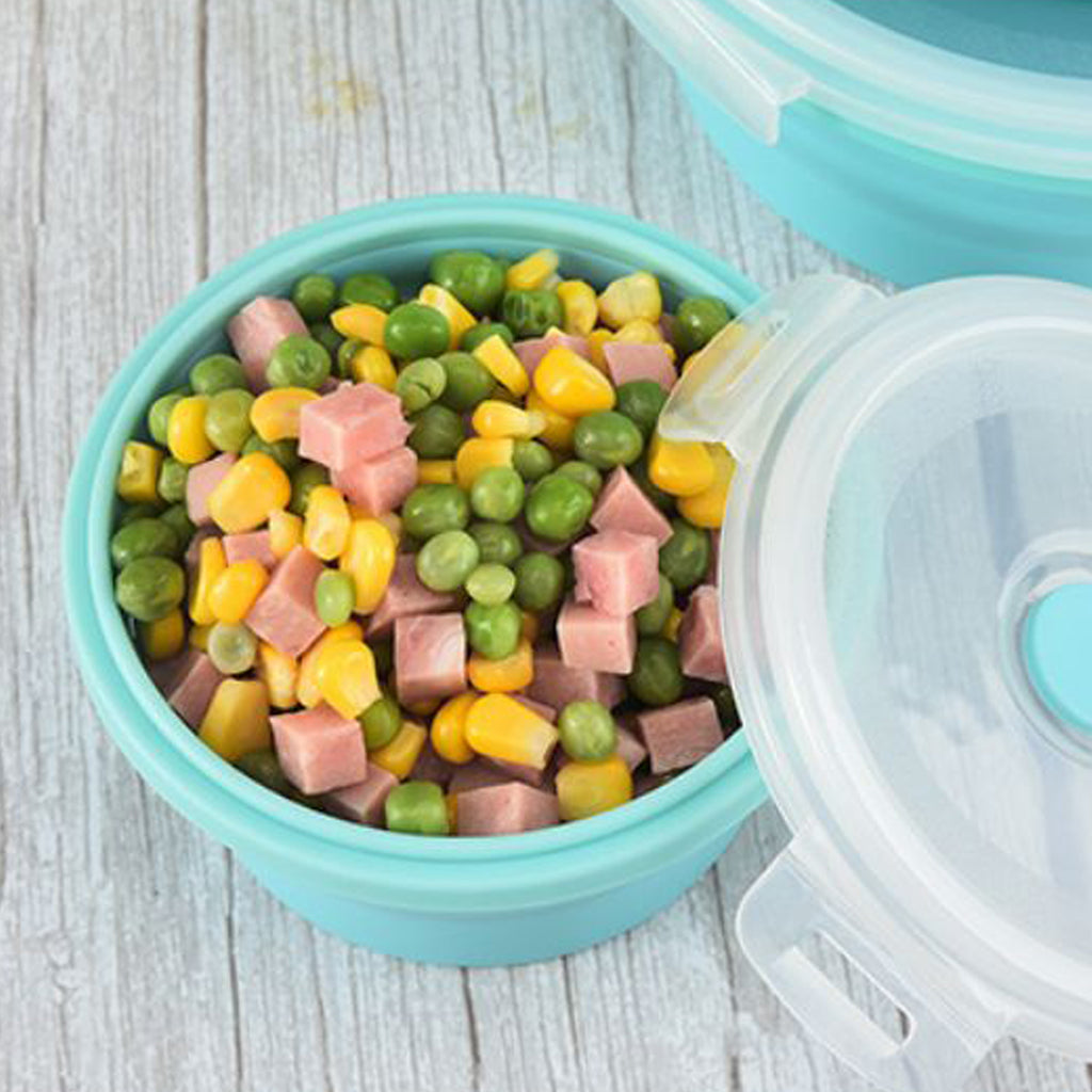 Collapsible Bowls With Lids