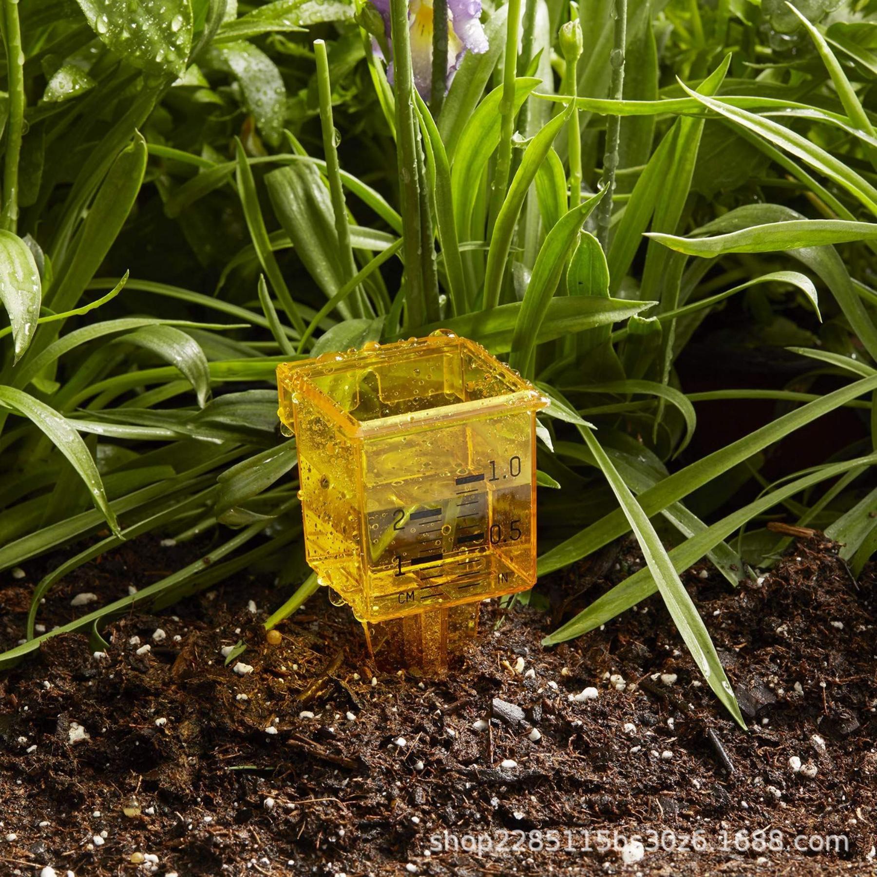 Wide Mouth Rain Gauge