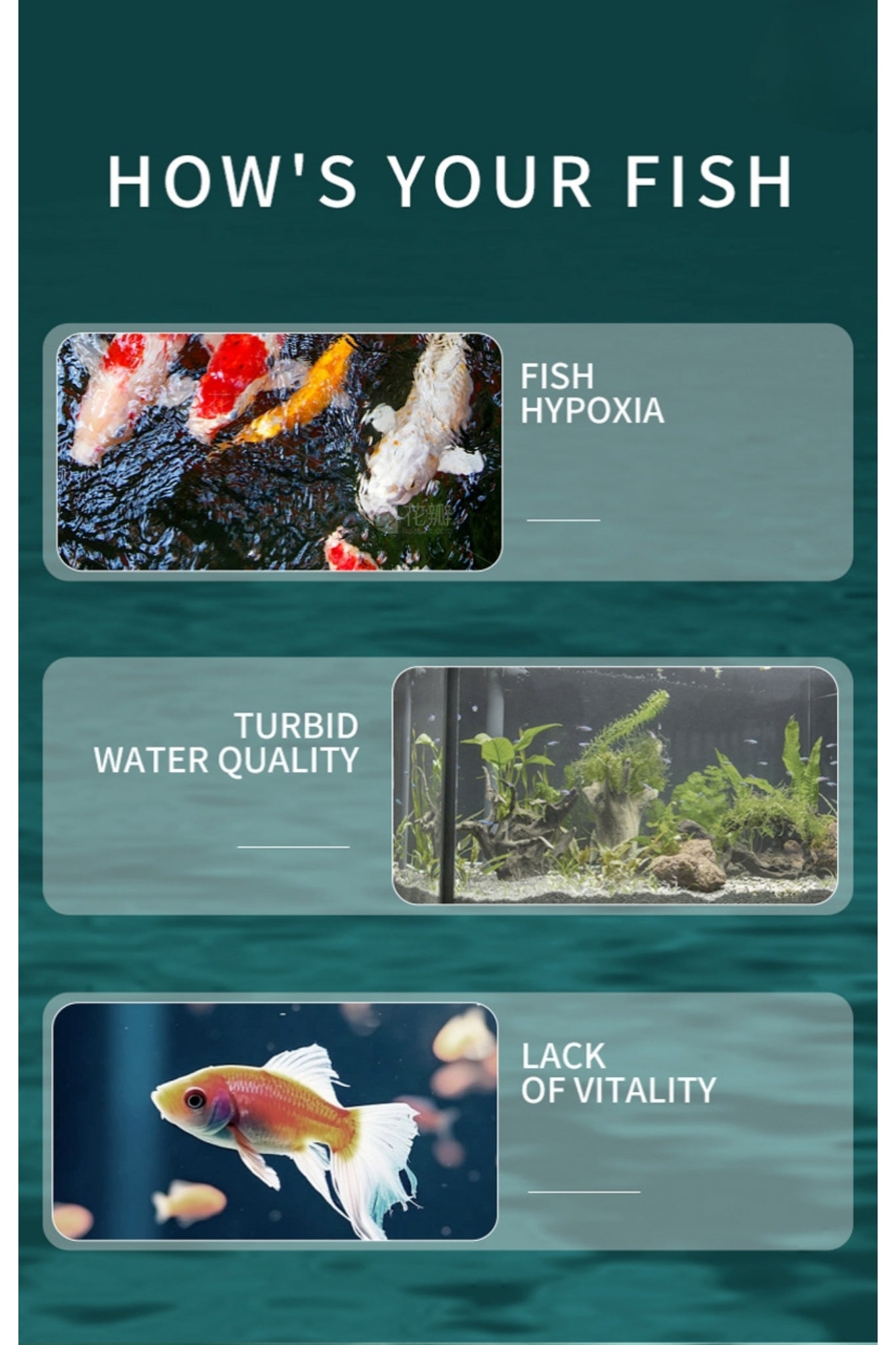 Ultra Quiet Submersible Aquarium Filter Internal Circulation