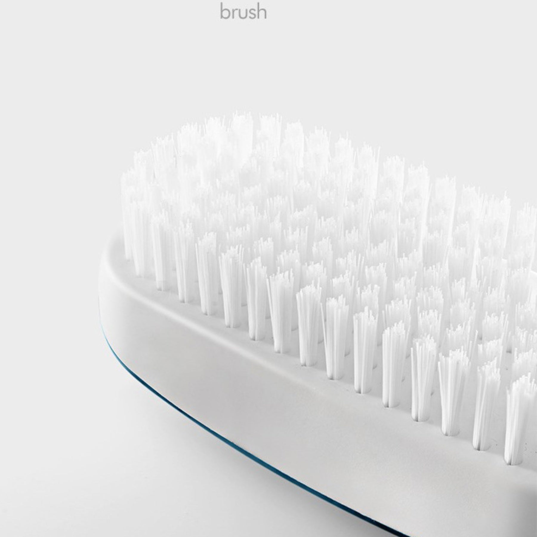 Soft-Bristle Shoe Brush