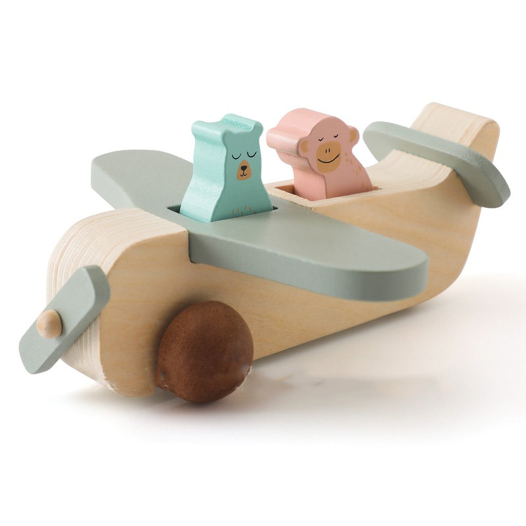 Wooden Passenger Aircraft