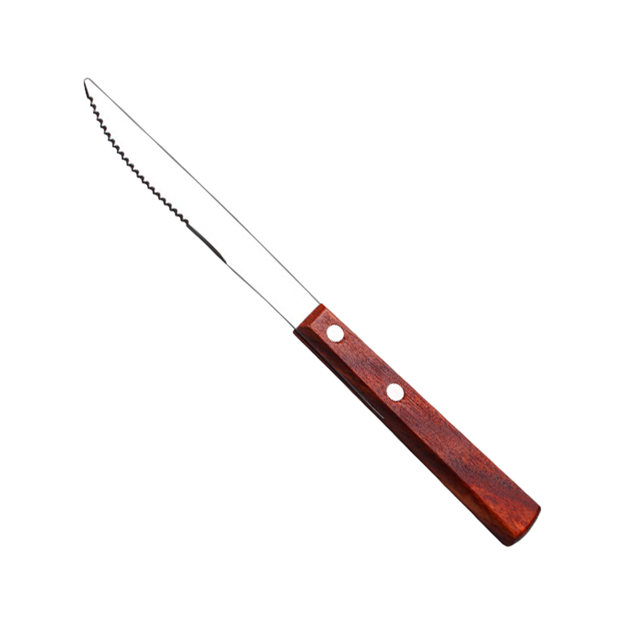 Stainless Steel Dinner Knife