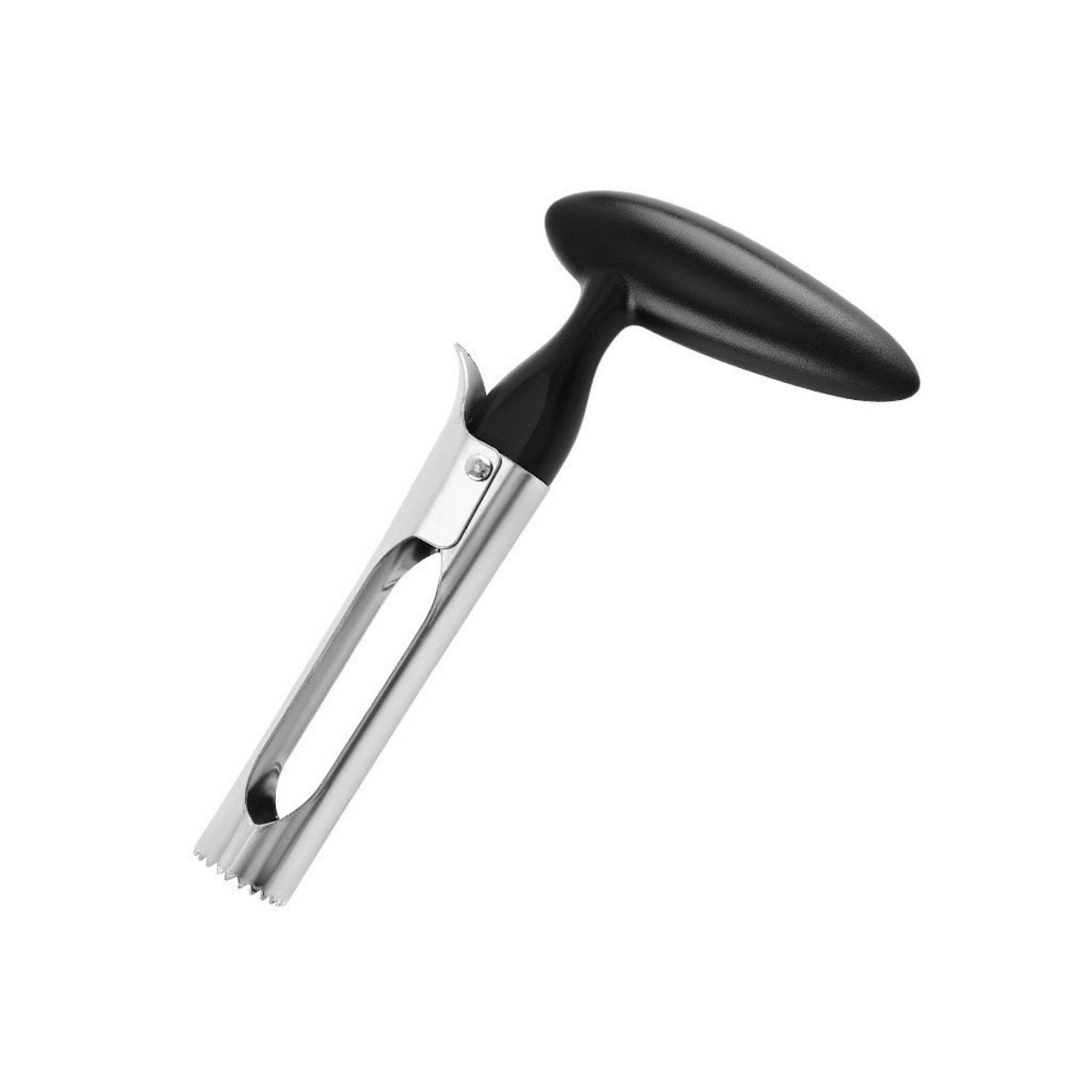 Stainless Steel Fruit Pitter