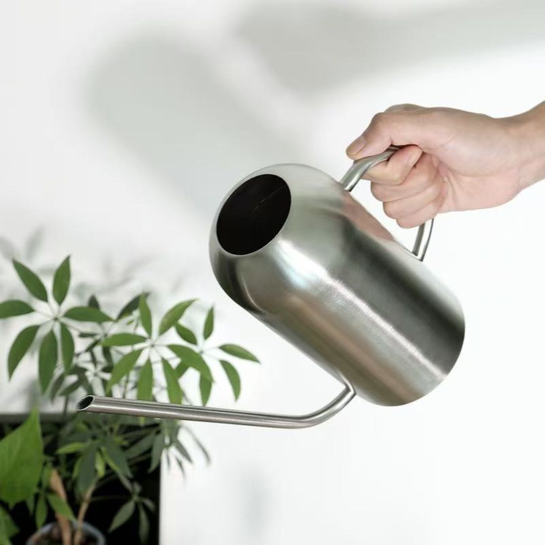 Stainless Steel Long-Spout Flower Watering Pot