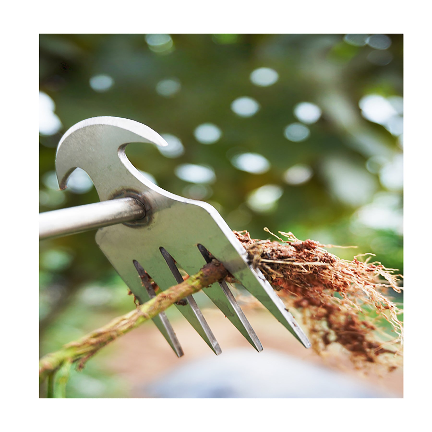 Stainless Steel Weeding Hoe