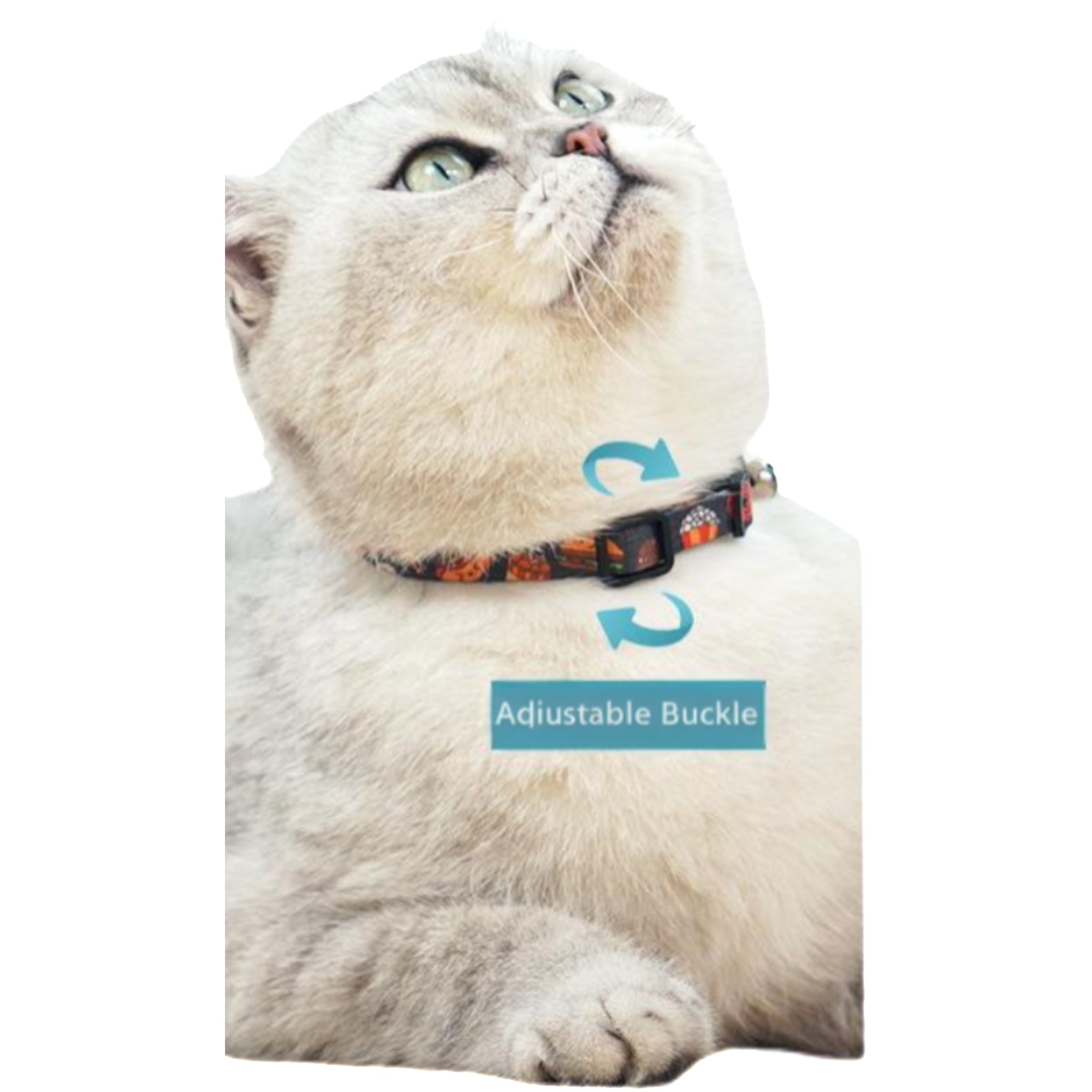 Woven Cat Collar