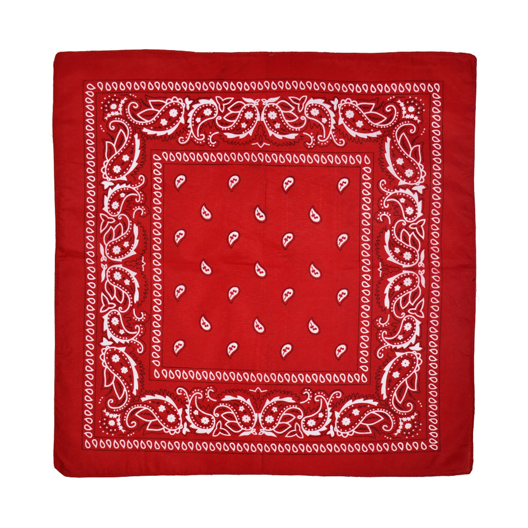 Paisley Bandannas