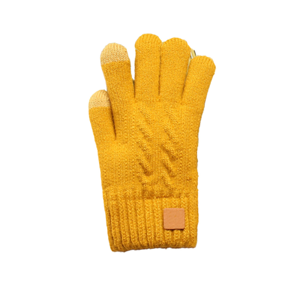Thick Adult Warmth Gloves