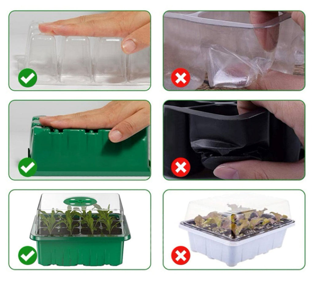 12 Well Nursery Box
