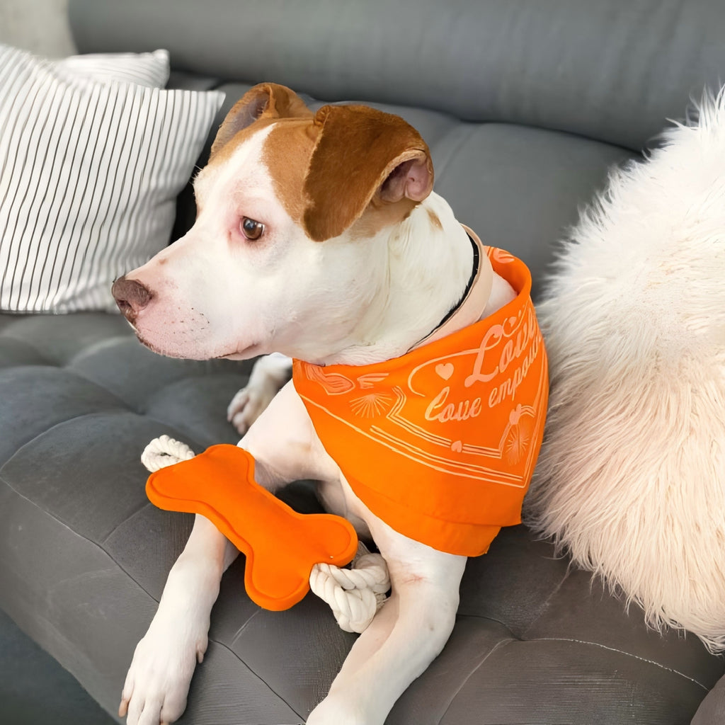 Cotton Rope Dog Bone Toy