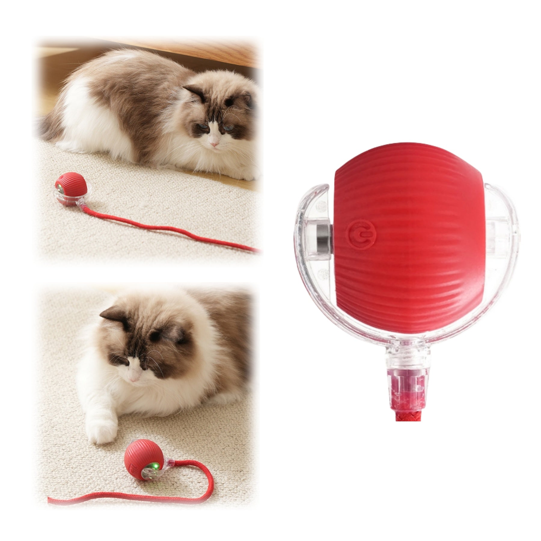 Chew - Resistant Automatic Cat Toy Ball