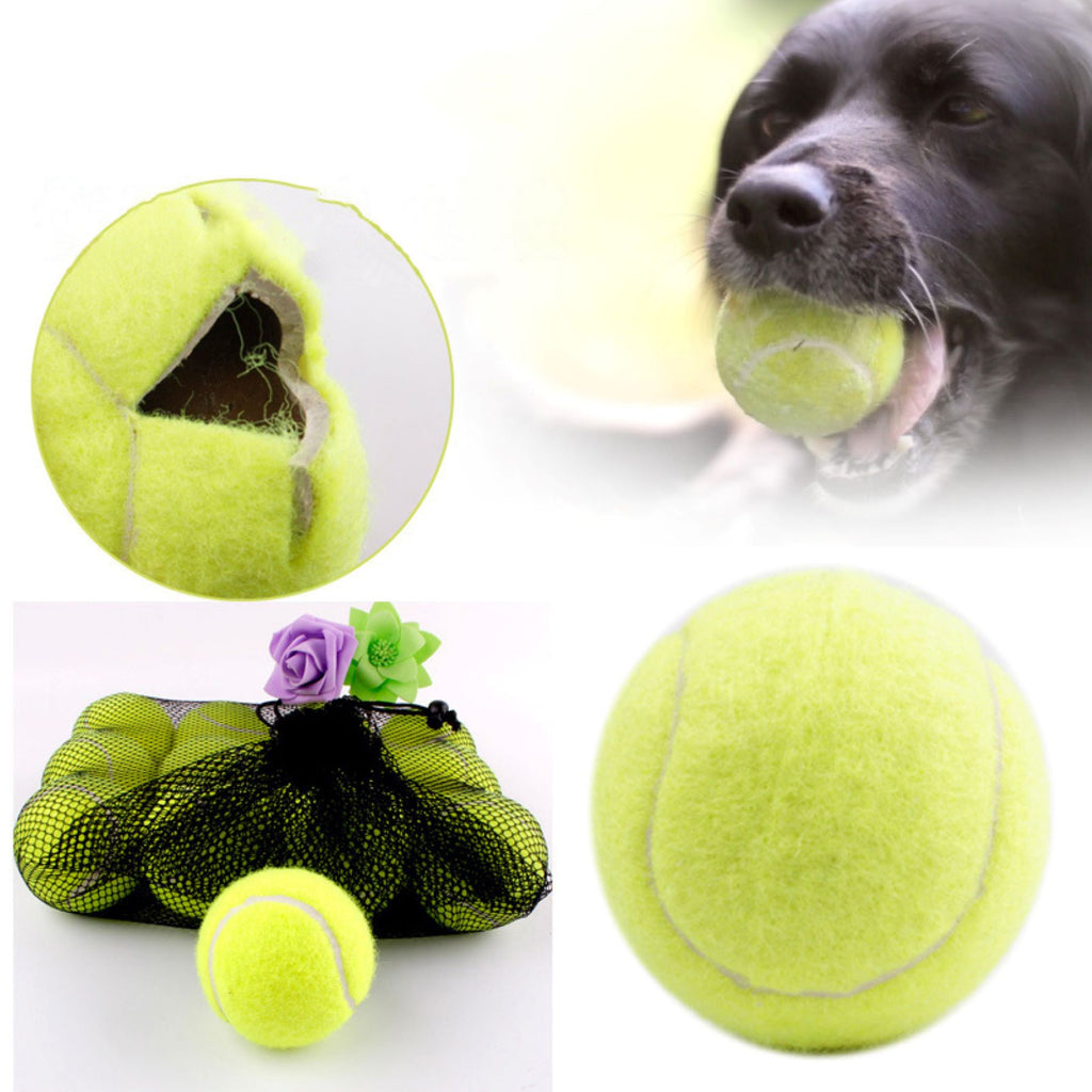 Pet Bouncy Ball Toy