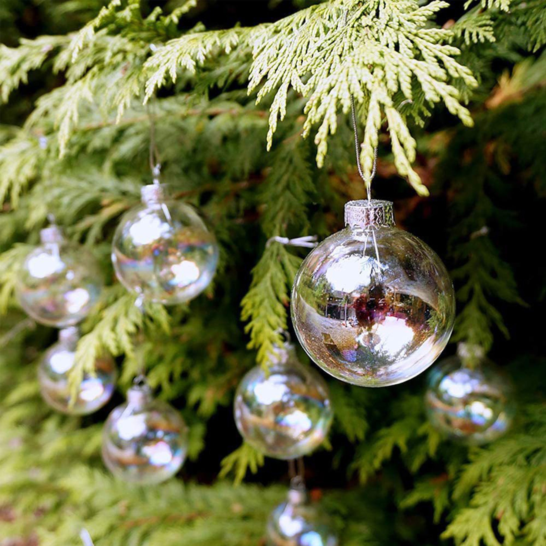 Clear Glass Ball Ornaments