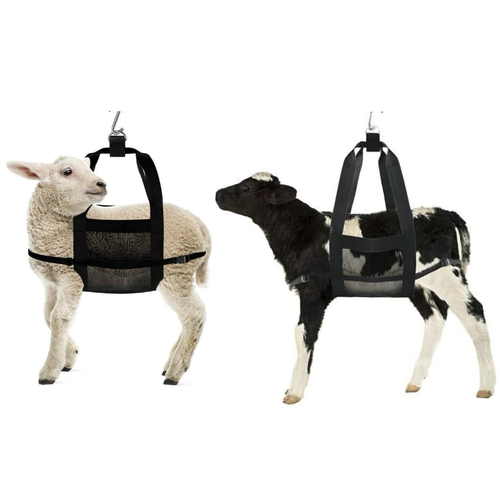 Small Animal Weighing Bag