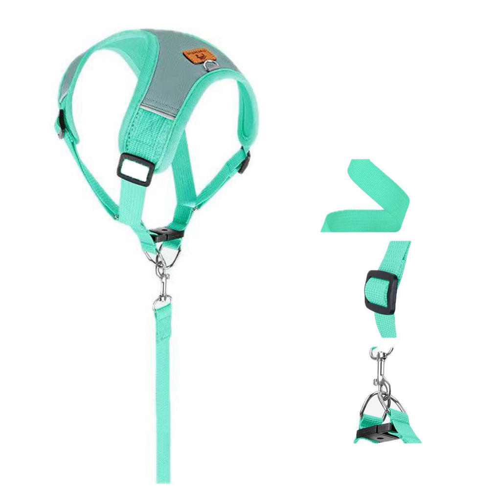 Small Dog Harness And Leash Set