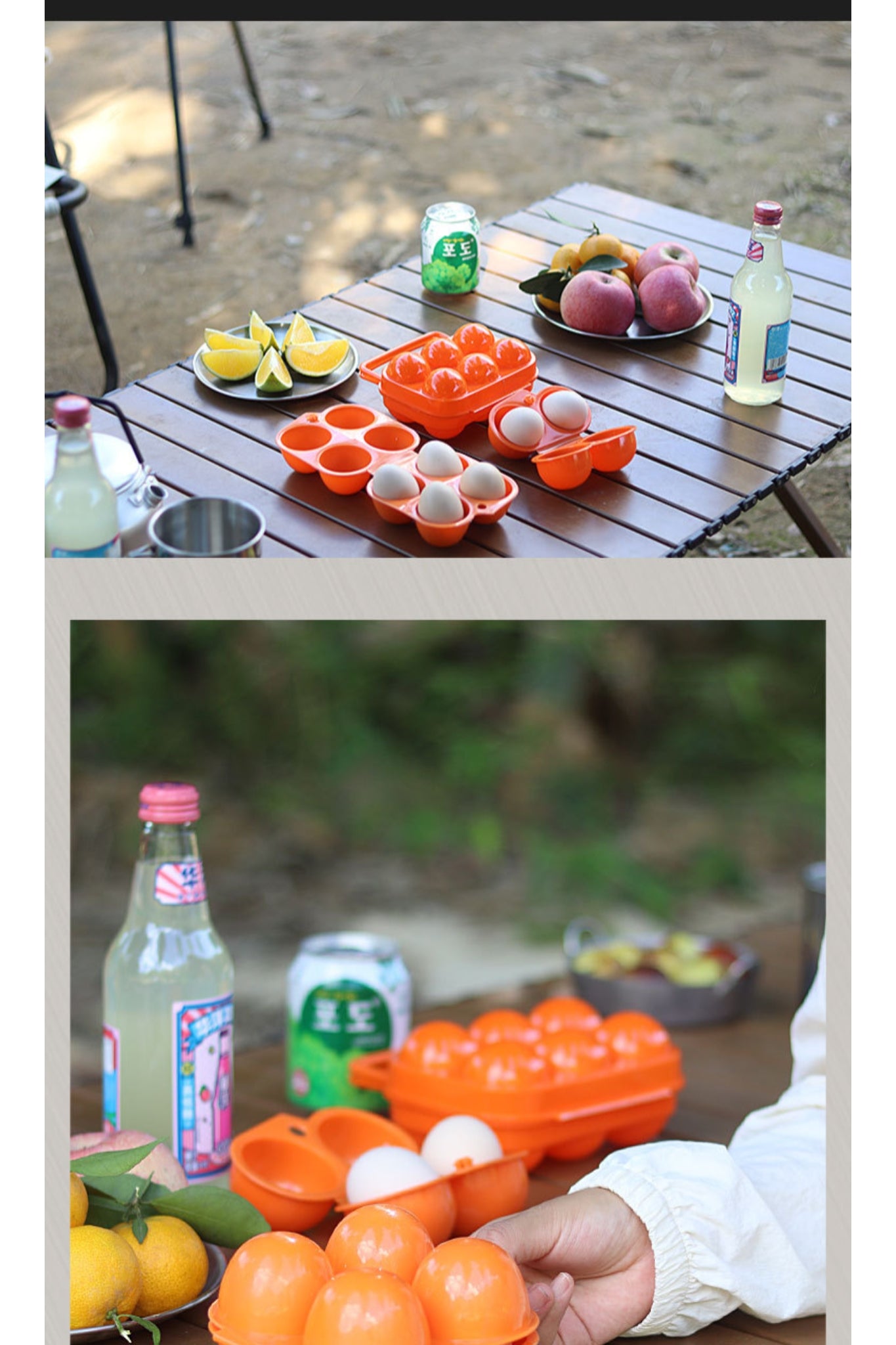 6 Compartments Egg Protector