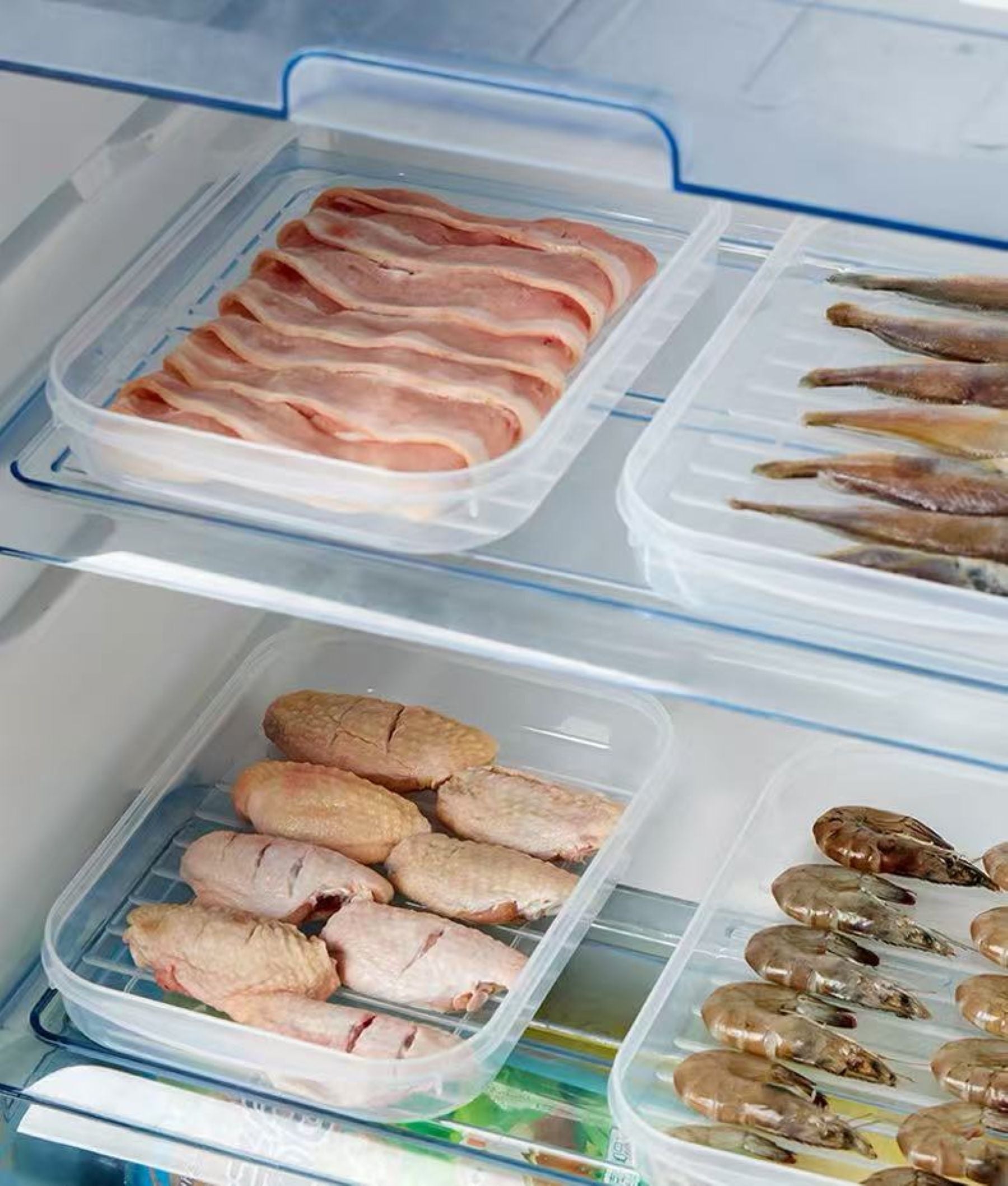 Transparent Preservation Box