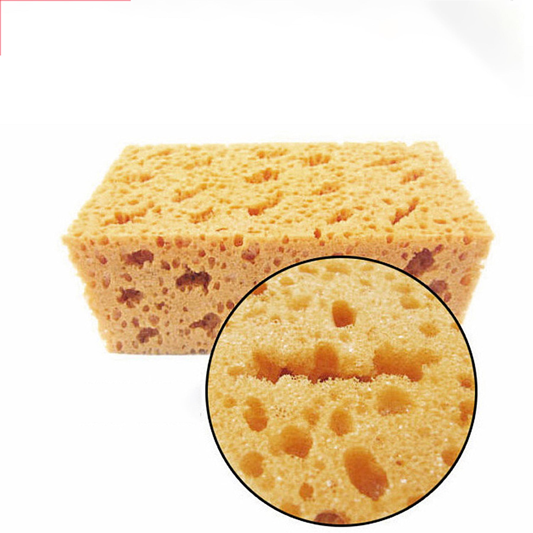 Car Wash Sponge