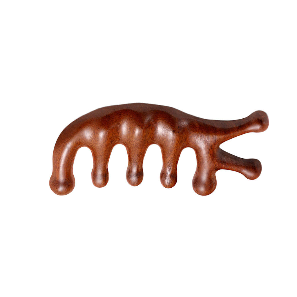 2 Pack Wooden Finger Massage Comb