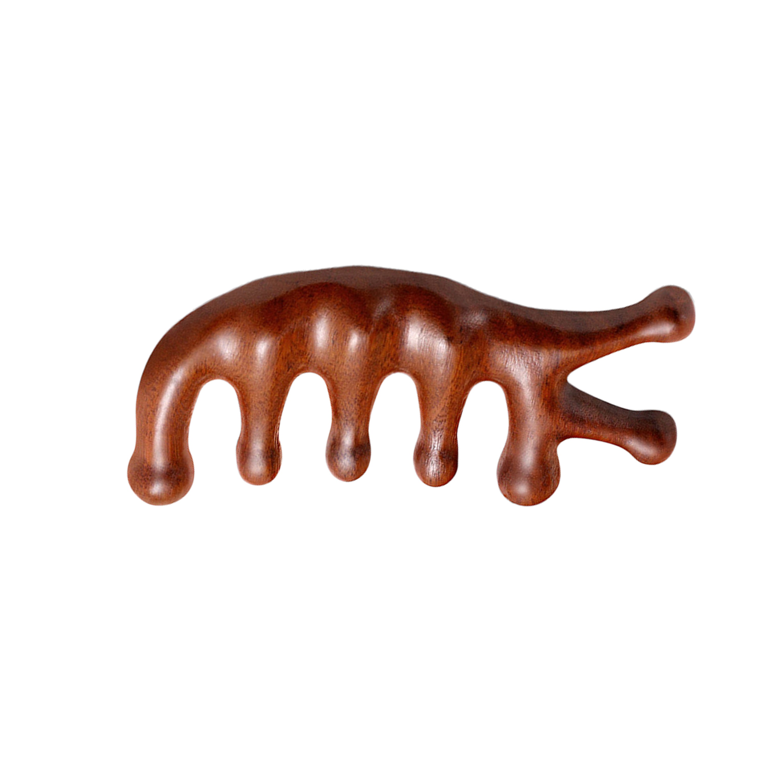 2 Pack Wooden Finger Massage Comb