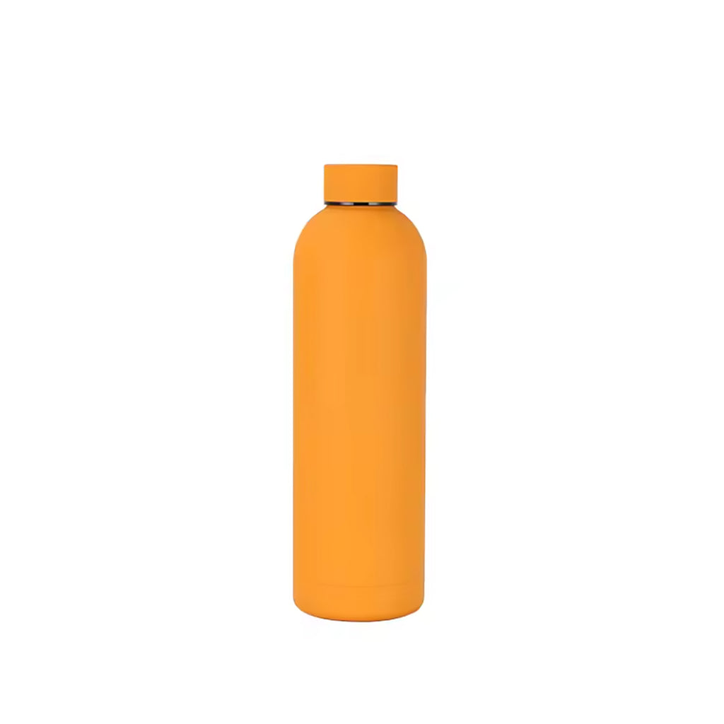 17Oz Frosted Insulated Stainless Steel Water Bottle
