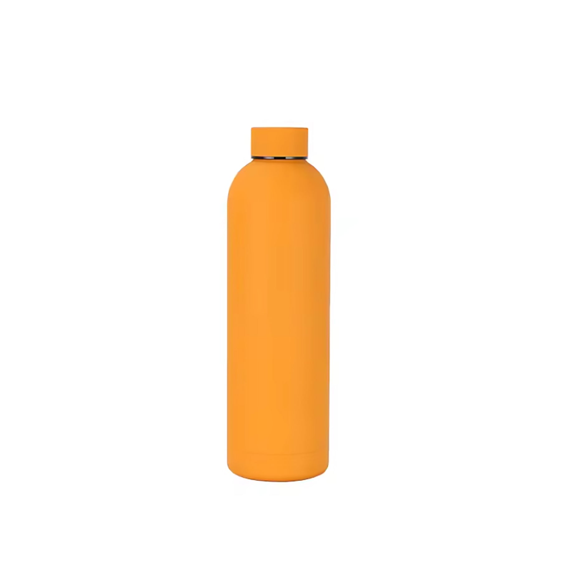 17Oz Frosted Insulated Stainless Steel Water Bottle