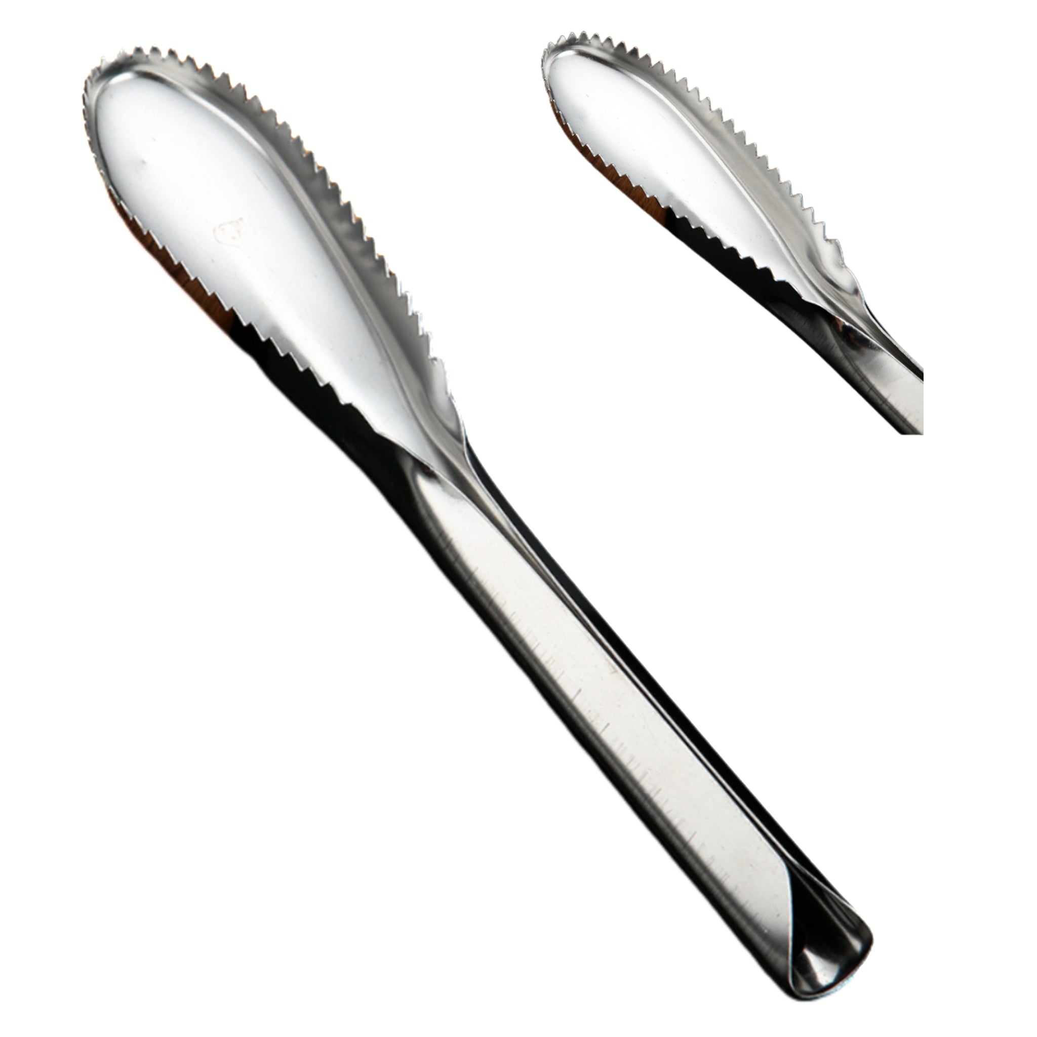 Stainless Steel Fish Scale Planer With Dual Function Tail