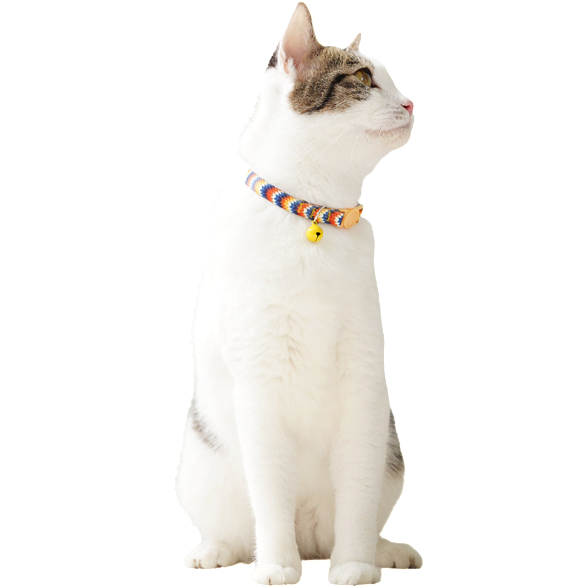 Woven Cat Collar