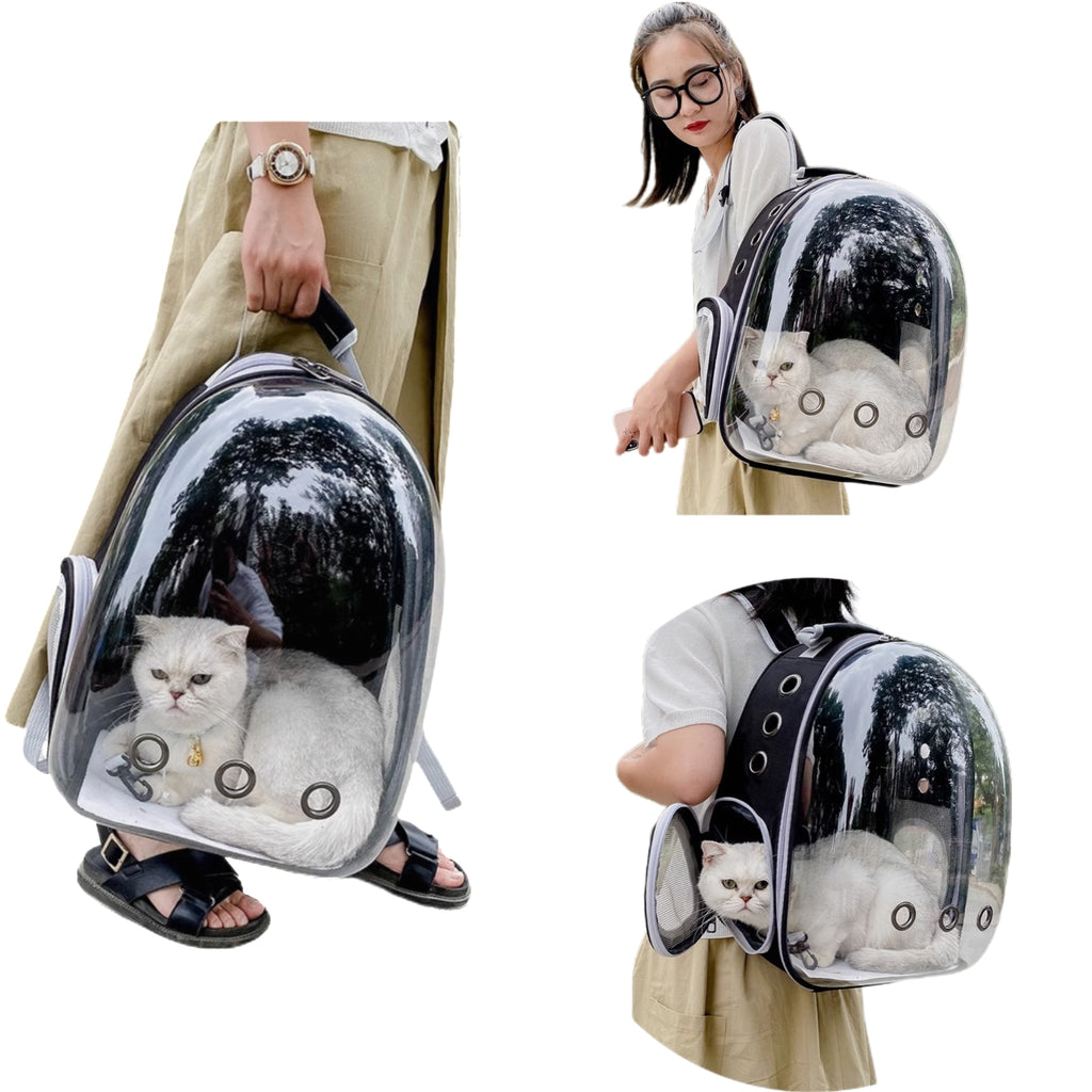 Pet Outdoor Backpack with Skylight